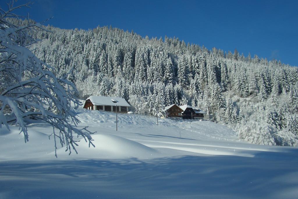 Gasthof Thurnerhof Untertweng Zewnętrze zdjęcie